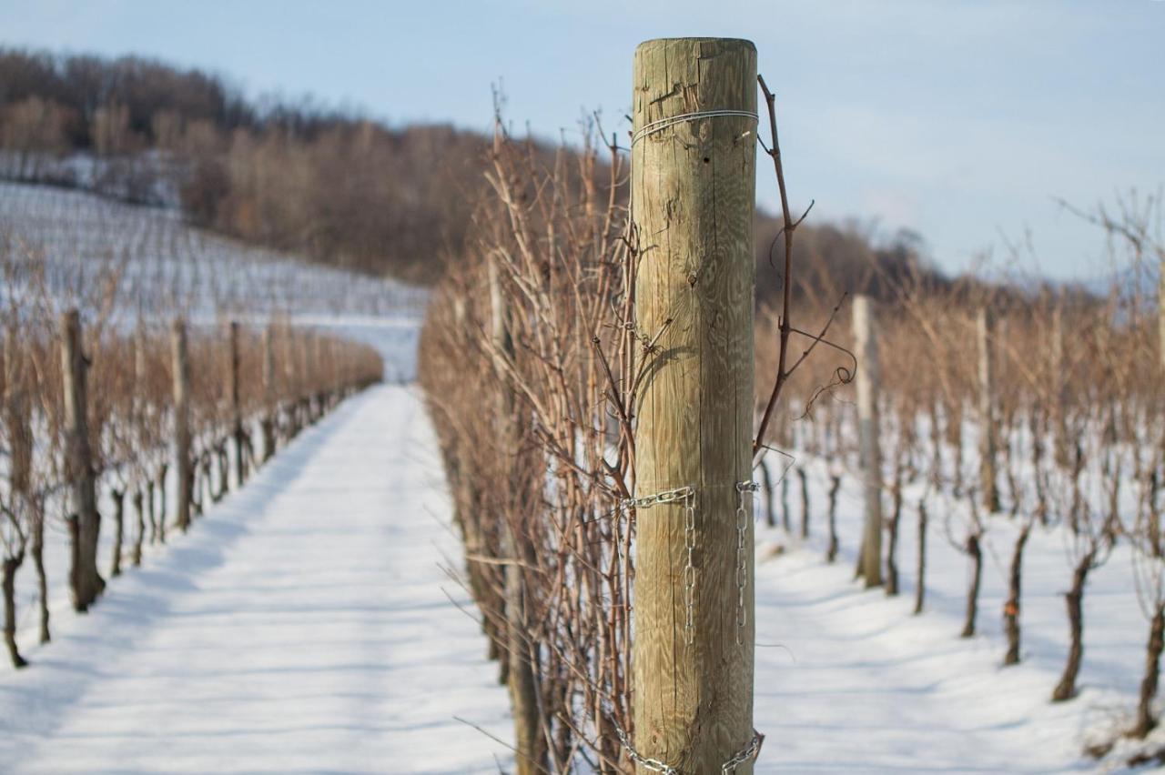 Il Roncal Wine Resort - For Wine Lovers Cividale del Friuli Buitenkant foto