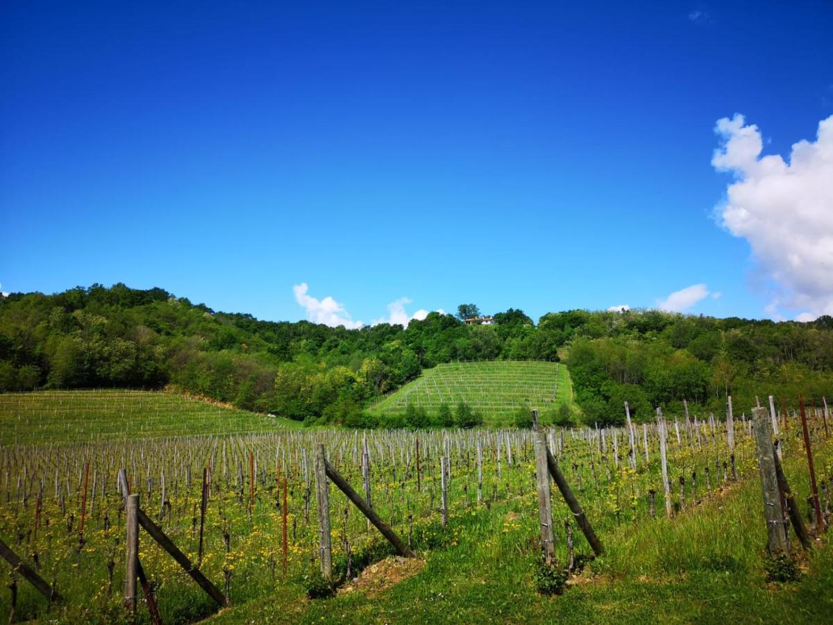 Il Roncal Wine Resort - For Wine Lovers Cividale del Friuli Buitenkant foto