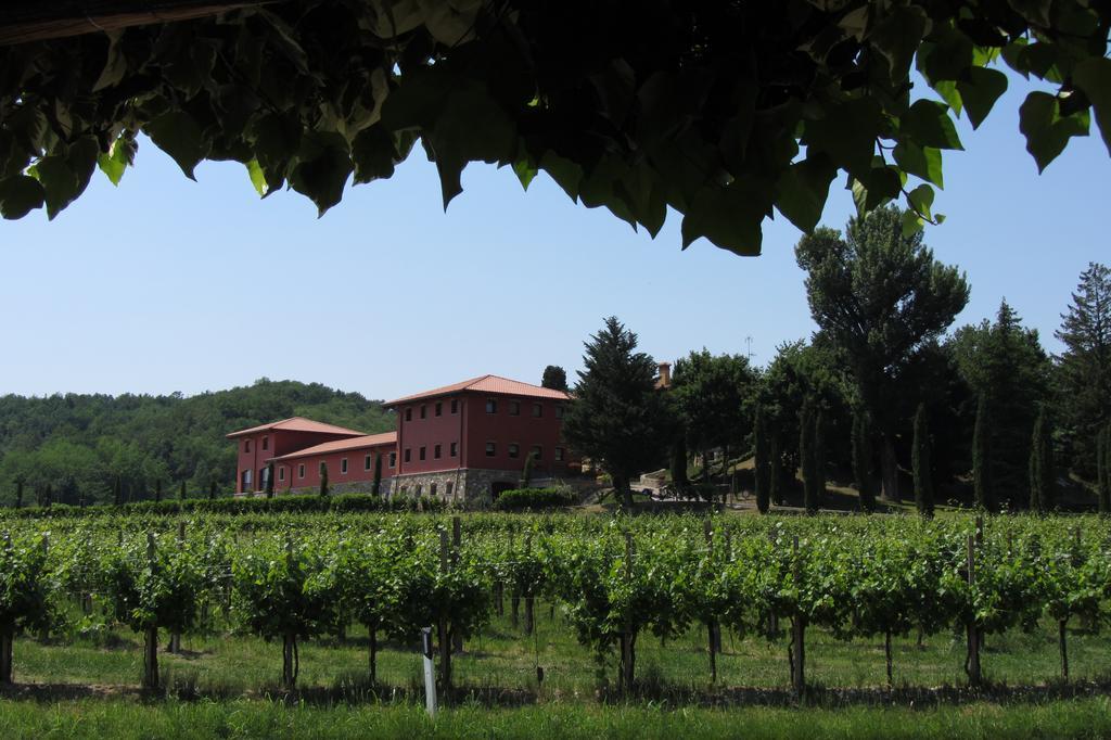 Il Roncal Wine Resort - For Wine Lovers Cividale del Friuli Buitenkant foto