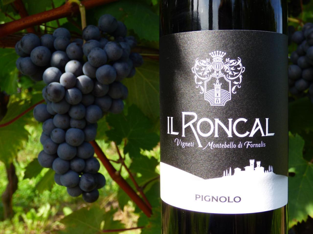 Il Roncal Wine Resort - For Wine Lovers Cividale del Friuli Buitenkant foto